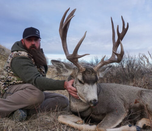 Monster Muley Outfitters
