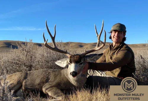 Monster Muley Outfitters Mule Deer Hunt