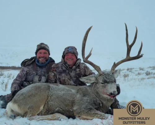 Monster Muley Outfitters Mule Deer Hunt