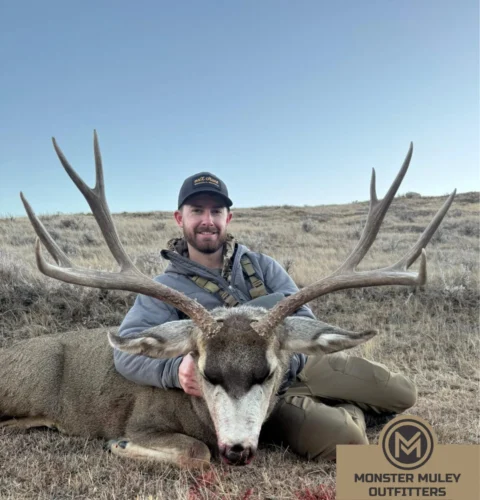 Monster Muley Outfitters Mule Deer Hunt
