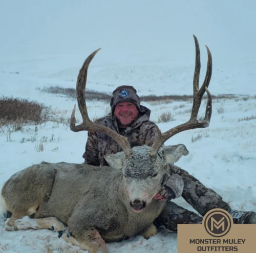 Monster Muley Outfitters Mule Deer Hunt