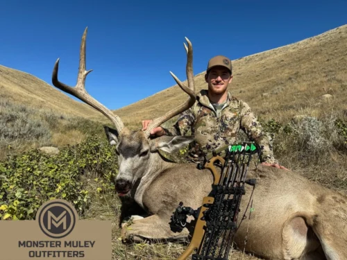 Monster Muley Outfitters Mule Deer Hunt