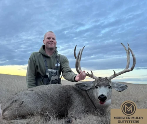 Monster Muley Outfitters Mule Deer Hunt