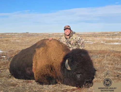 Monster Muley Outfitters Buffalo Bison Hunt