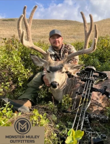 Monster Muley Outfitters Mule Deer Hunt